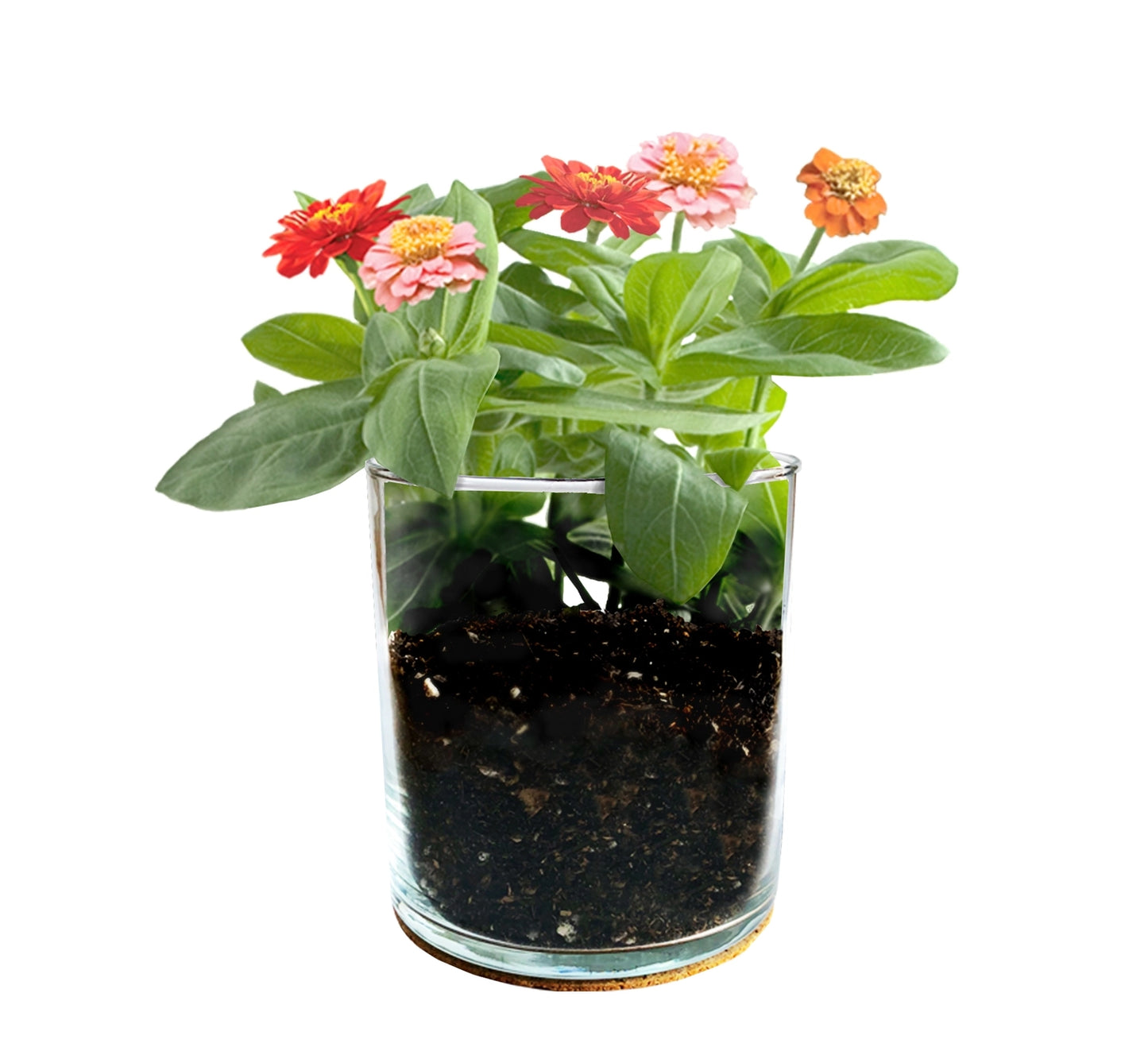 Mom Flower Garden- Mother's Day