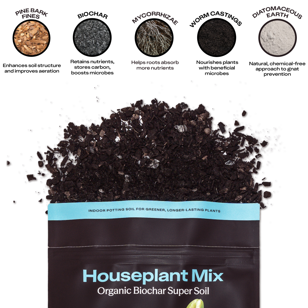 4qt Organic Houseplant Mix for Potted Plants