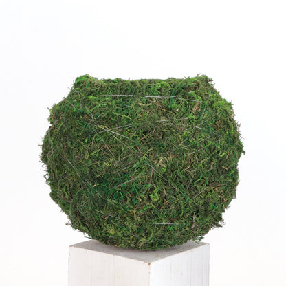 Kokedama Pot for Houseplants