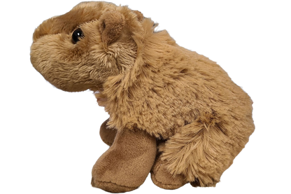 Steve the Canned Capybara | Stuffed Animal Plush w/Jokes