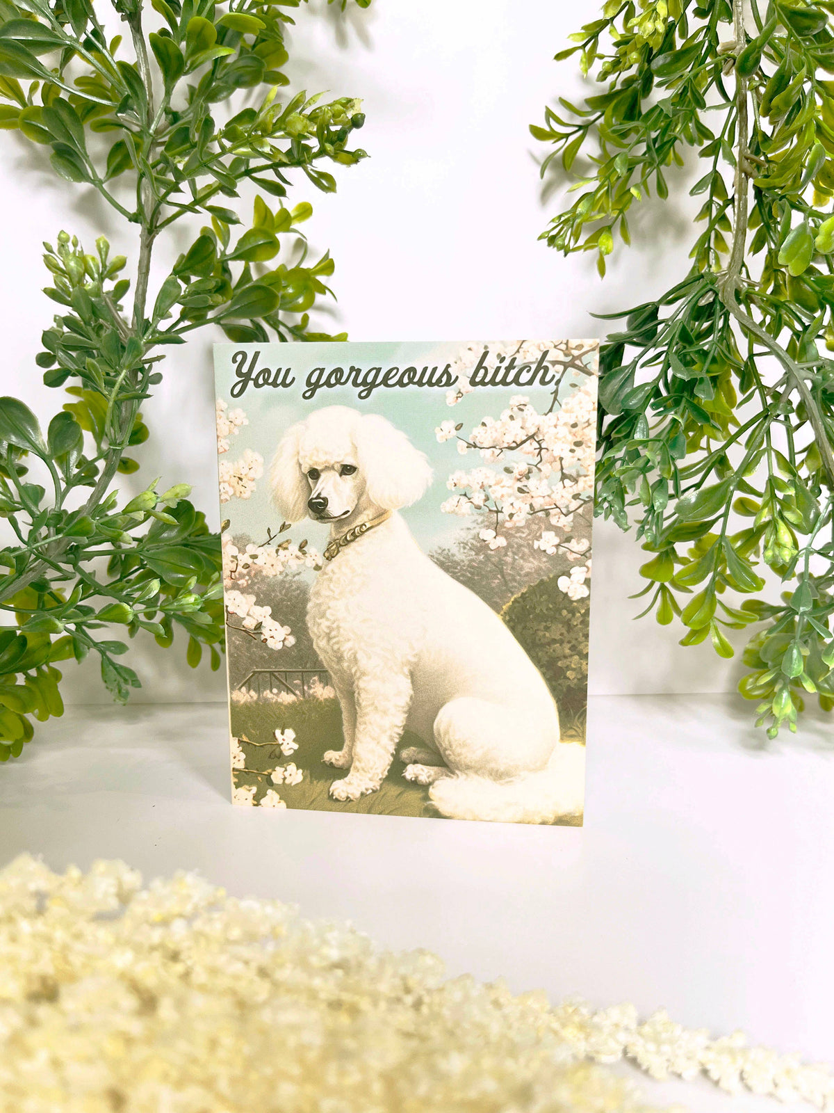 You Gorgeous Bitch Poodle Dog Funny Card