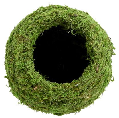 Kokedama Pot for Houseplants