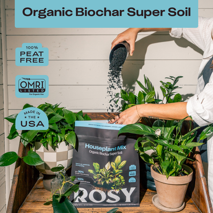 4qt Organic Houseplant Mix for Potted Plants