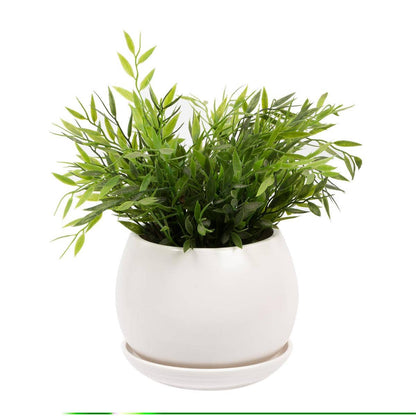 White Round Matte Ceramic Planter- 6in