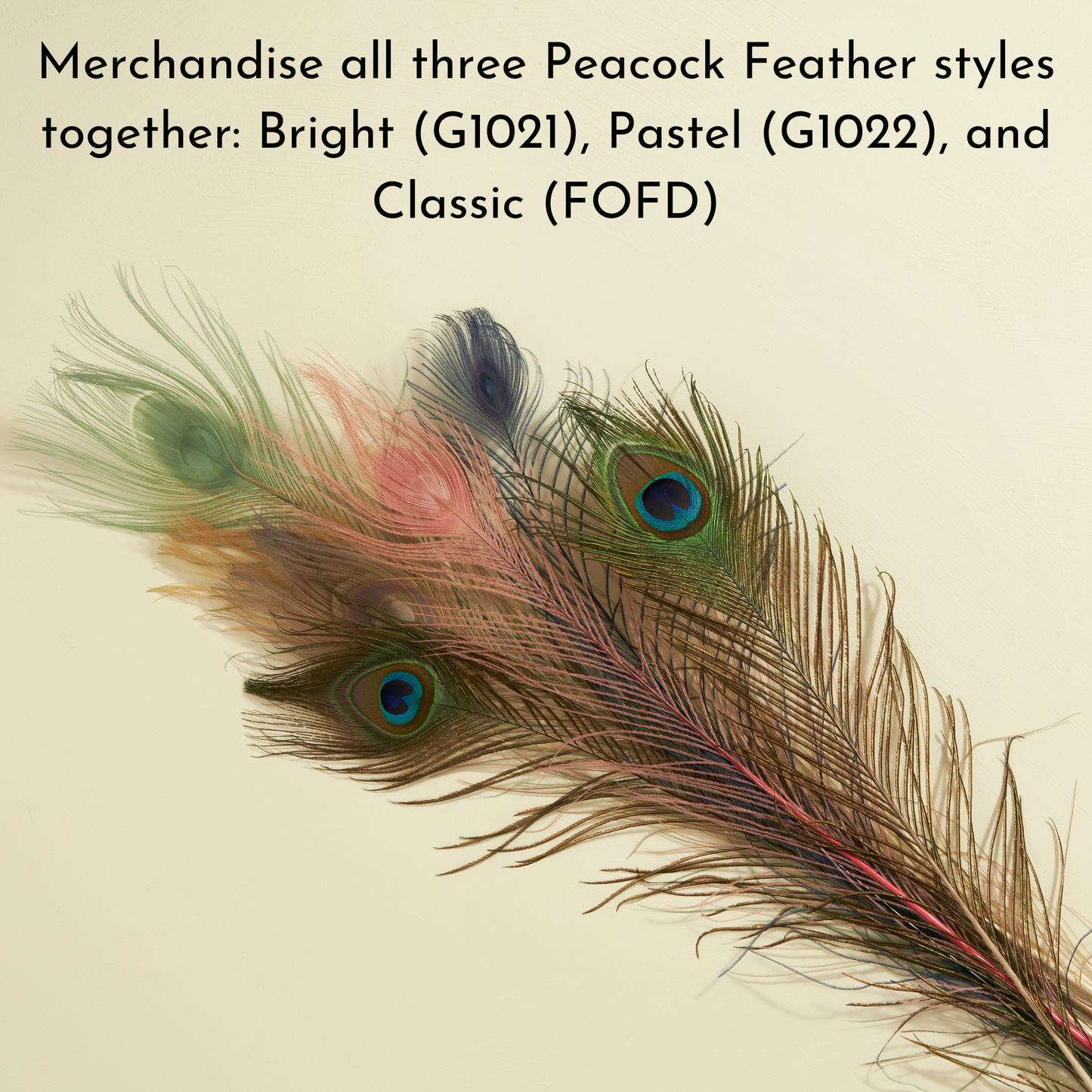 Pastel Peacock Feathers