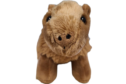 Steve the Canned Capybara | Stuffed Animal Plush w/Jokes
