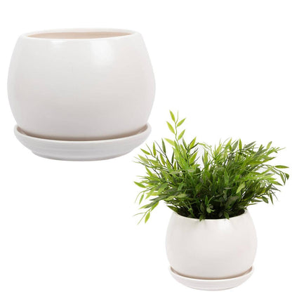 White Round Matte Ceramic Planter- 6in