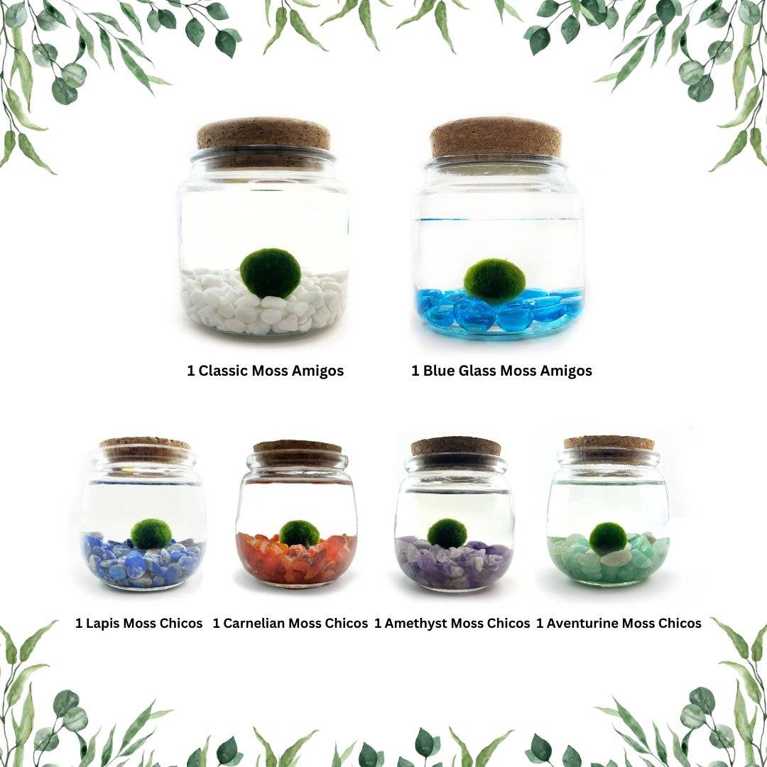 Nursery Retail Kit A