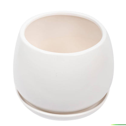 White Round Matte Ceramic Planter- 6in