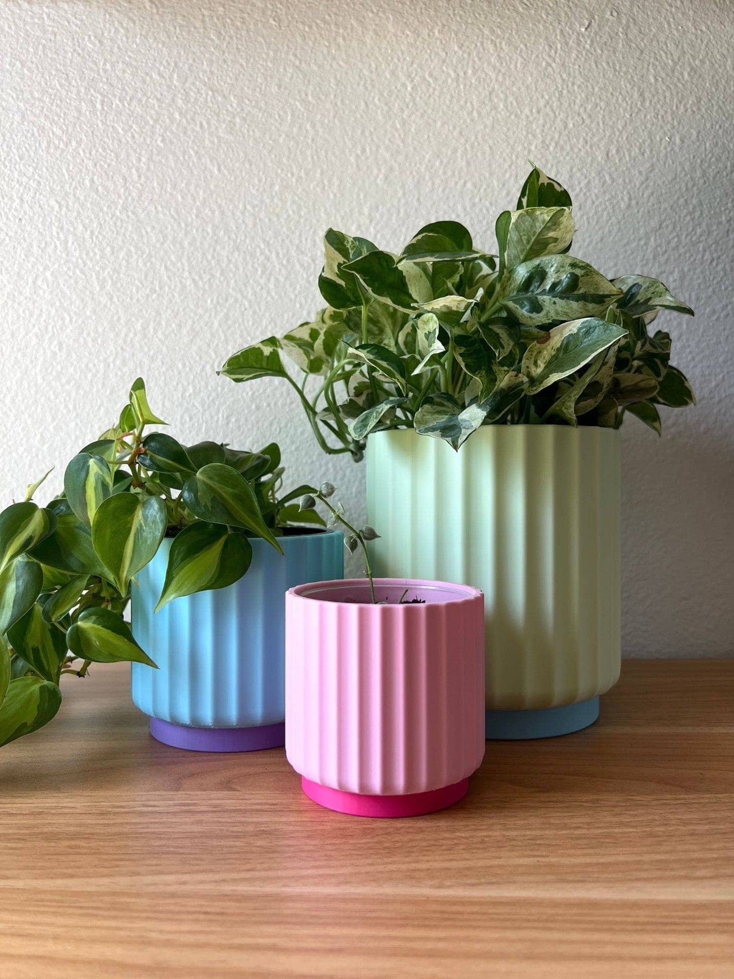 Rainbow 3-Piece Set – Bold Colorful Planters (3", 4", 5")