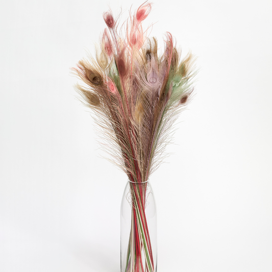 Pastel Peacock Feathers