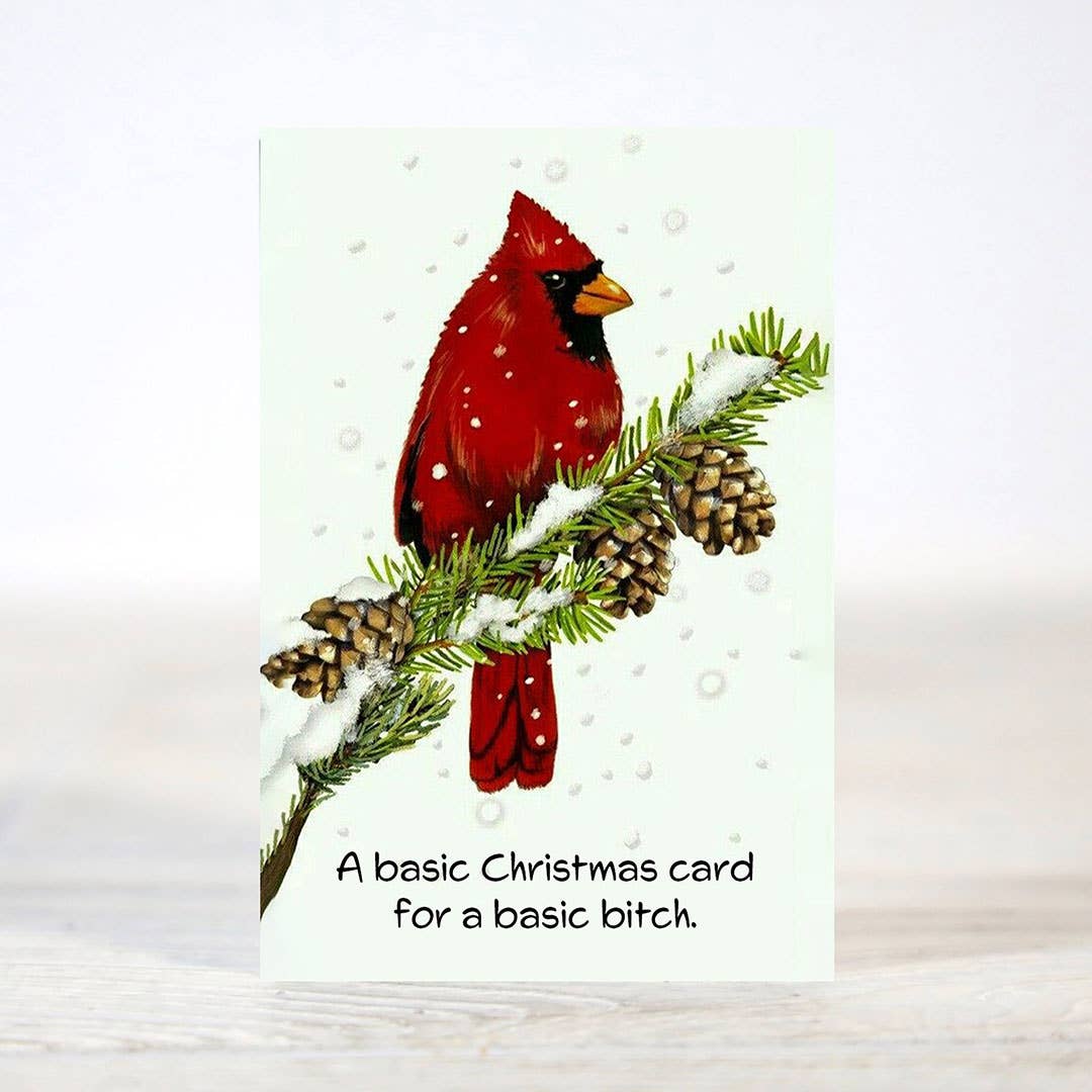 Mini 12 Days of Sarcastic Christmas Card Gift Set
