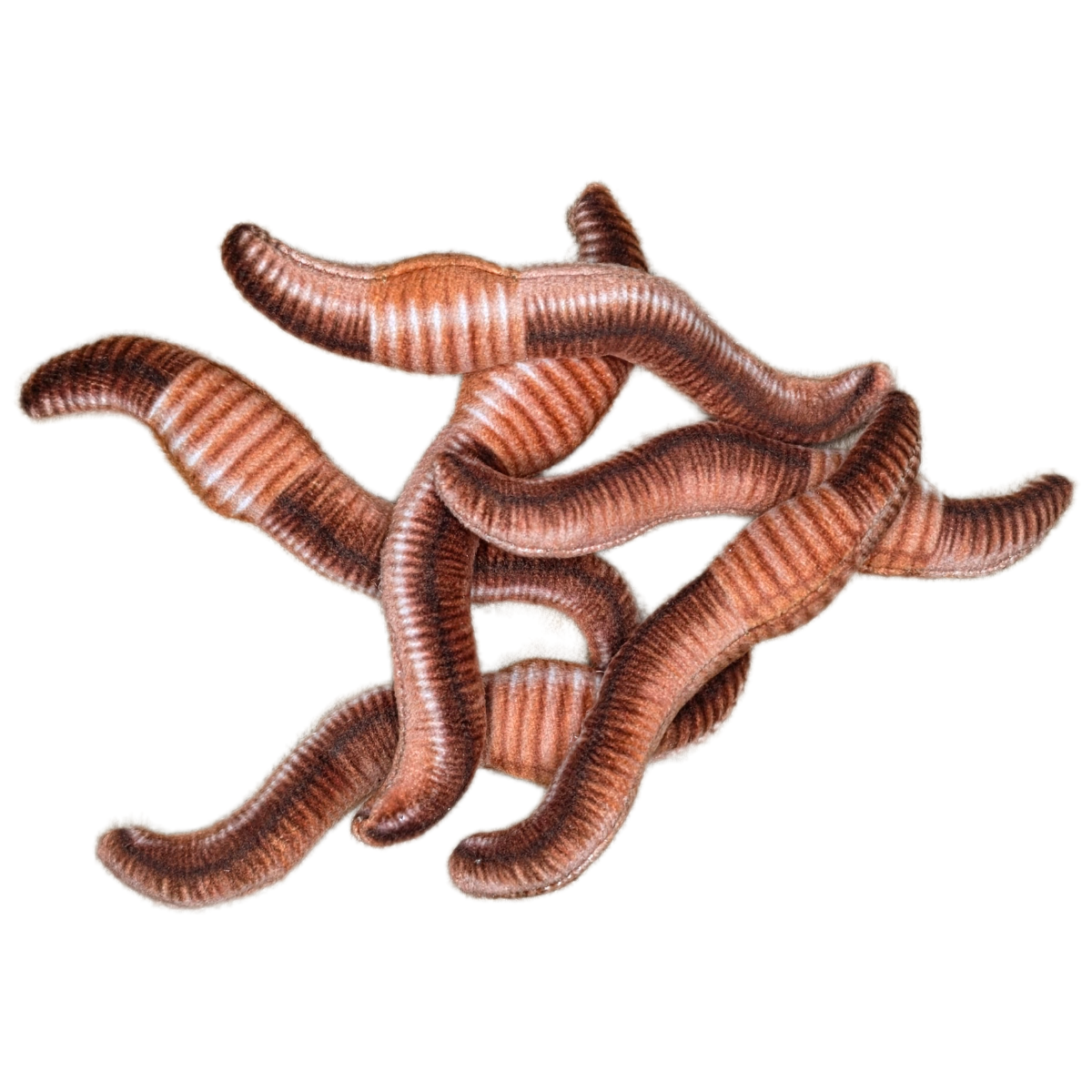 Can O' Worms - EcoFriendly Plush Gift for Fishermen w/Jokes