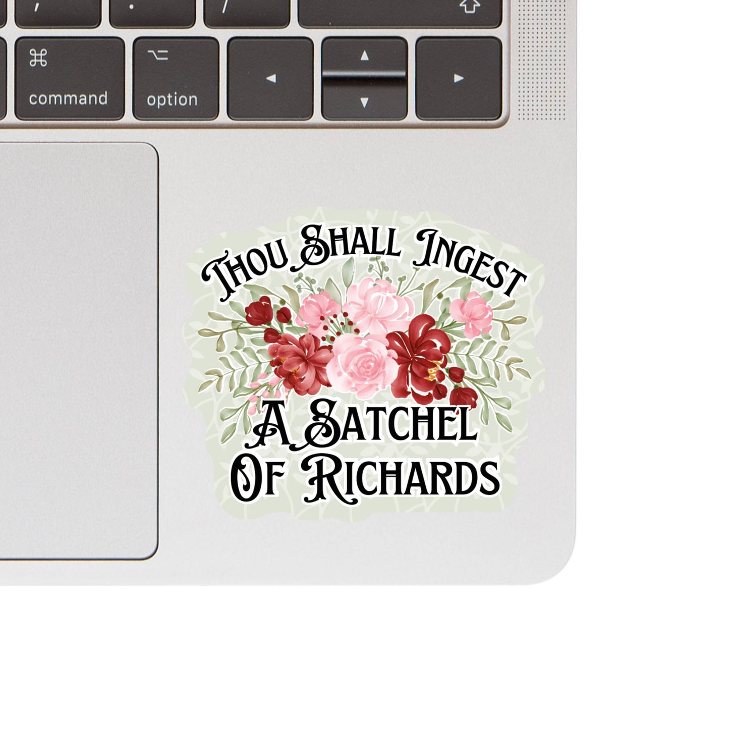 Vintage Funny Pun Sarcastic Humor High Quality Vinyl Sticker