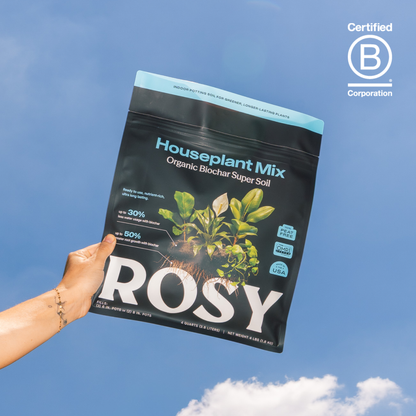 4qt Organic Houseplant Mix for Potted Plants
