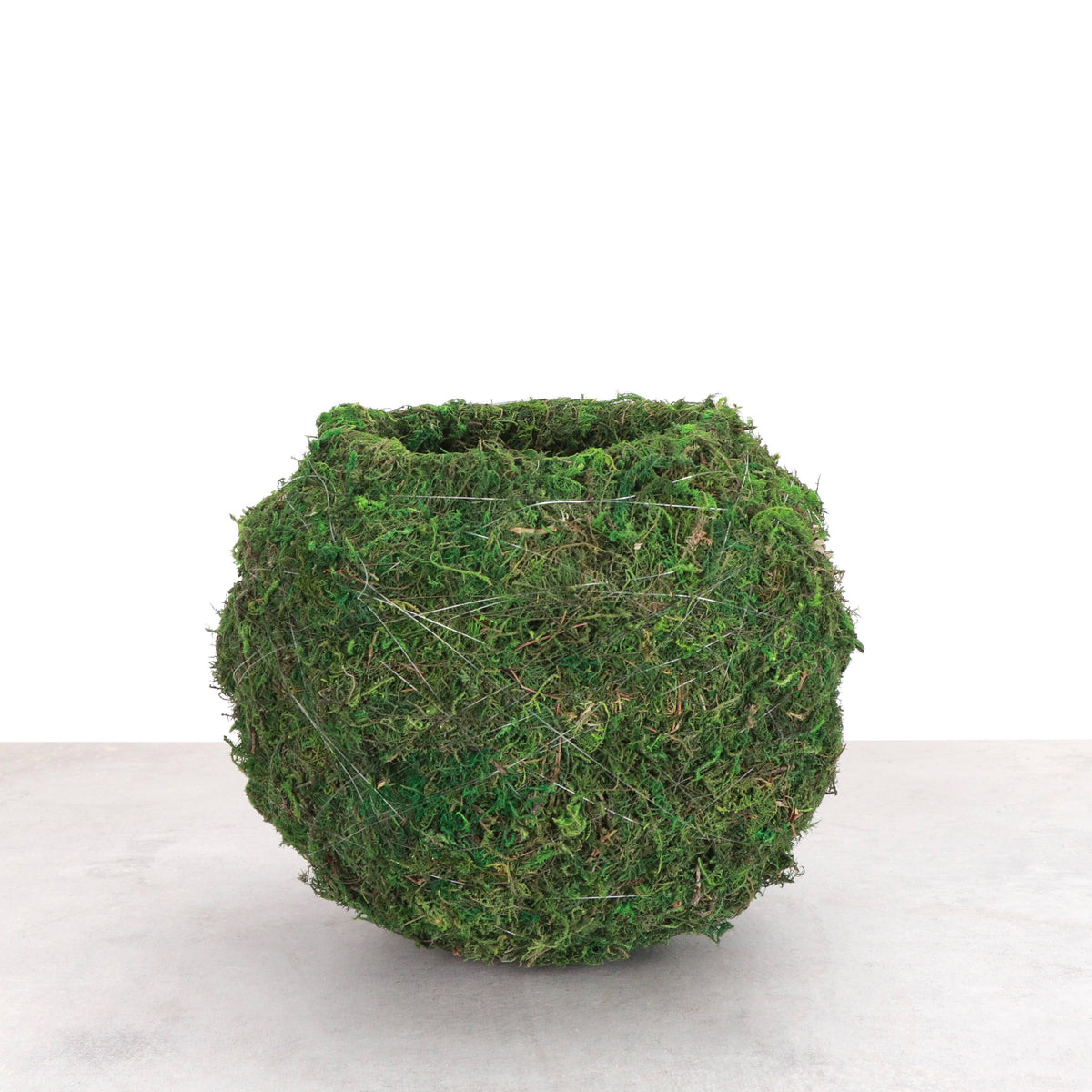 Kokedama Pot for Houseplants